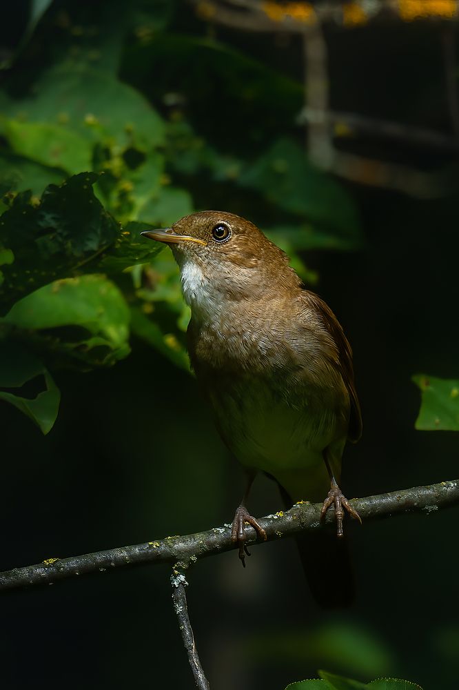 Photograph by Александр Соловьев