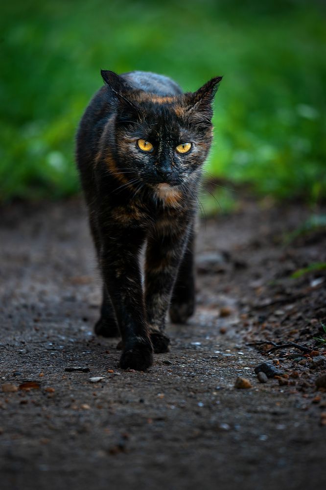 Photograph by Александр Соловьев