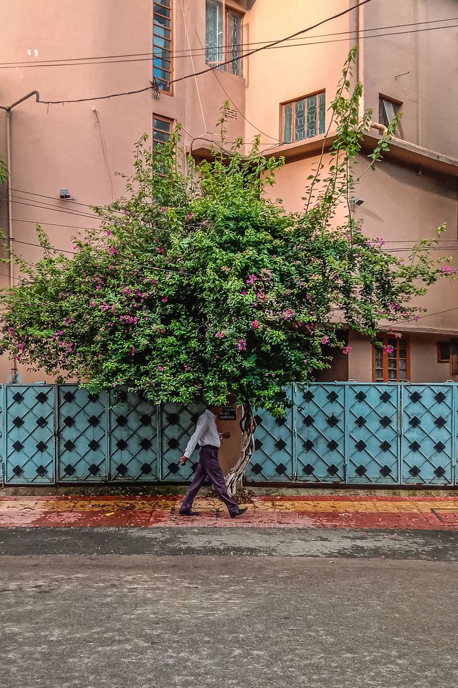 Photograph by Faiaz Ben Reza