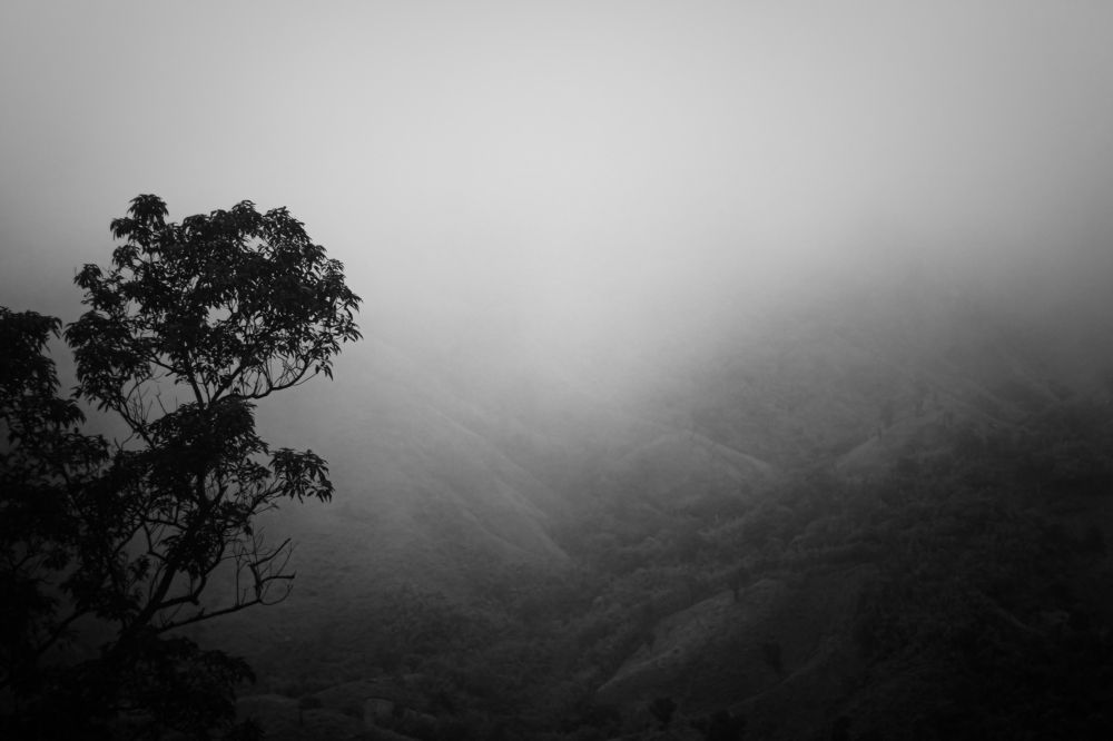 Photograph by Faiaz Ben Reza