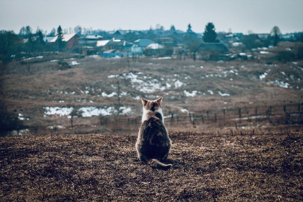 Где-то там...