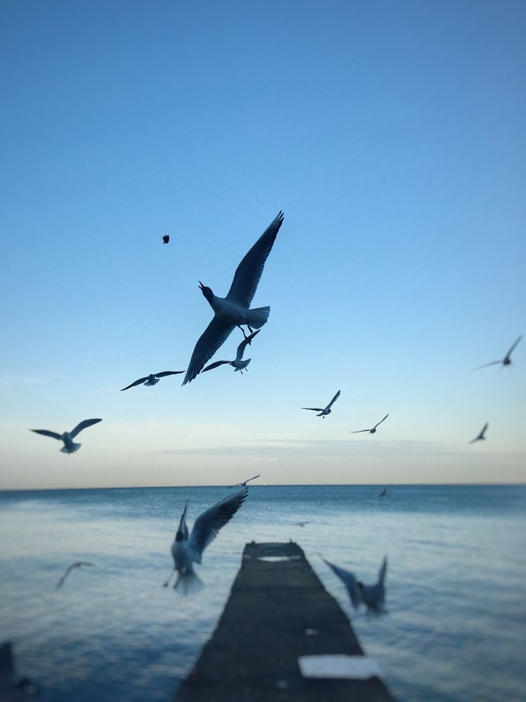 Photograph by Виталий Орлов