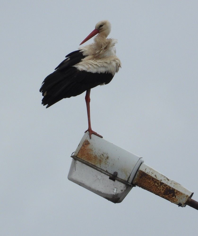 Photograph by Владимир Джерихов