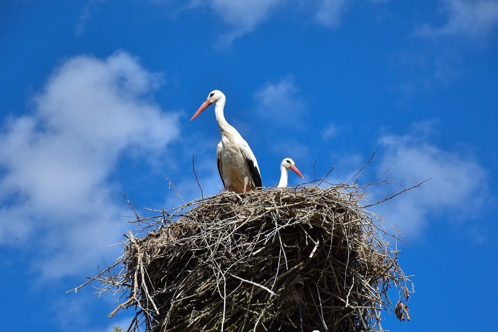 Photograph by Дмитрий Петров