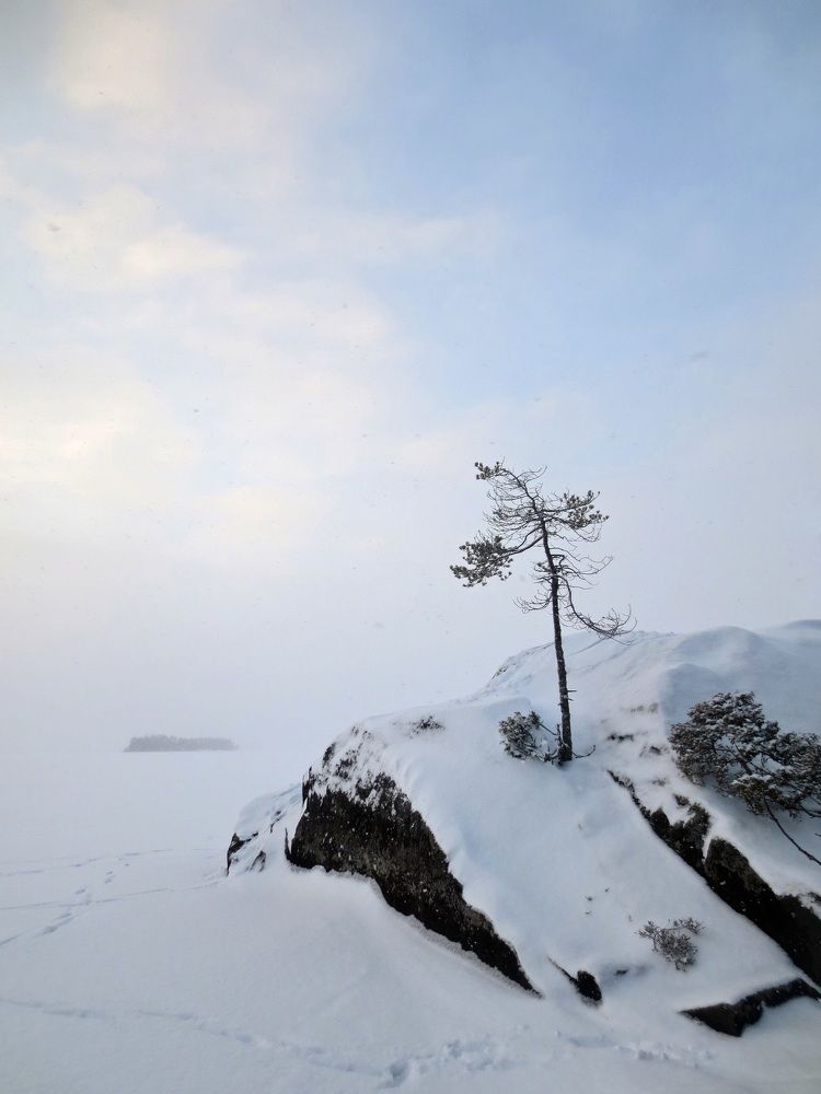 Photograph by Елена Жукова