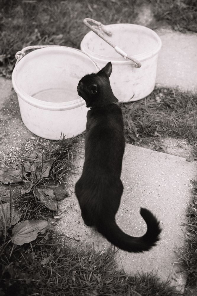 Photograph by Анисимова Ольга Леонидовна