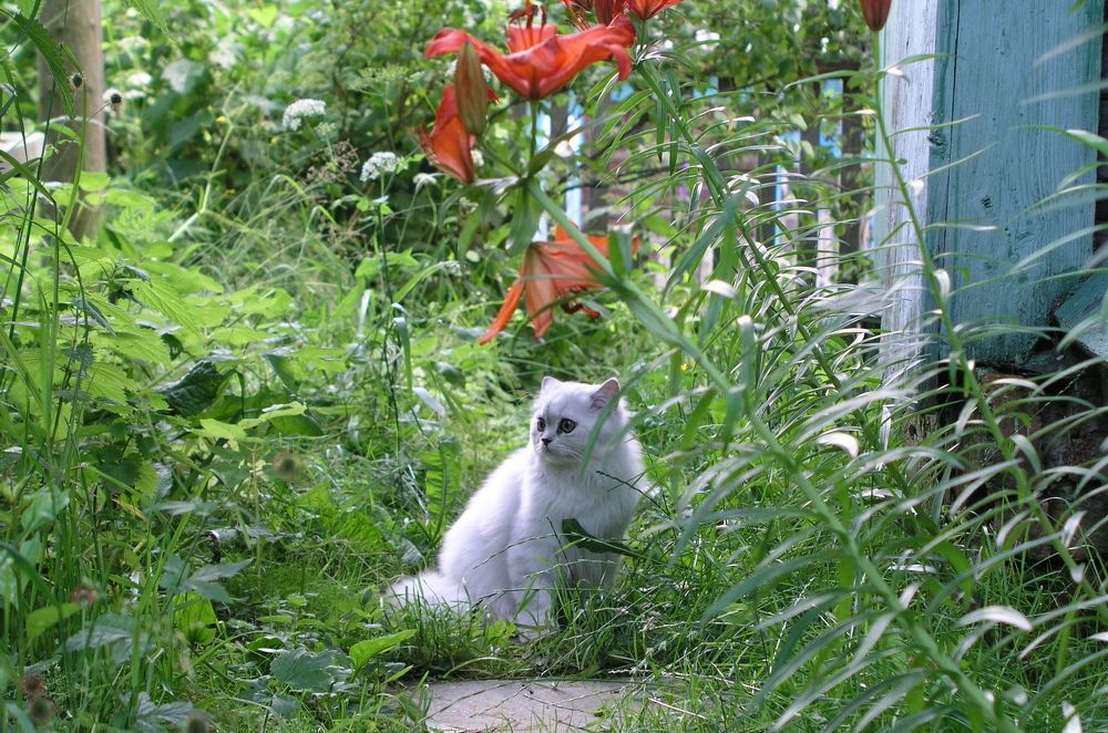 Photograph by Добродий Михаил