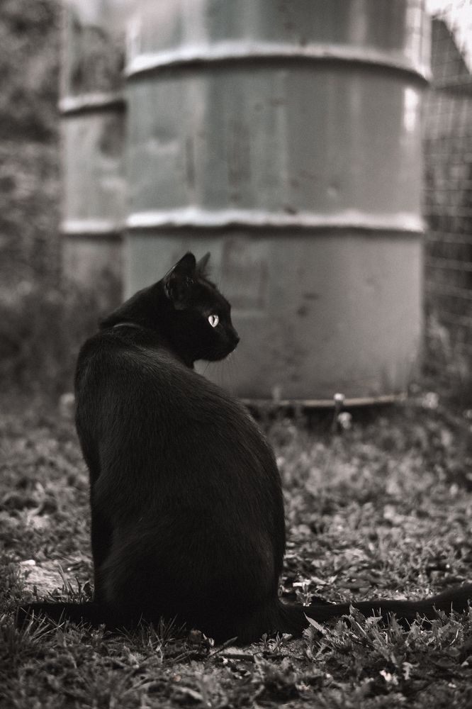 Photograph by Анисимова Ольга Леонидовна