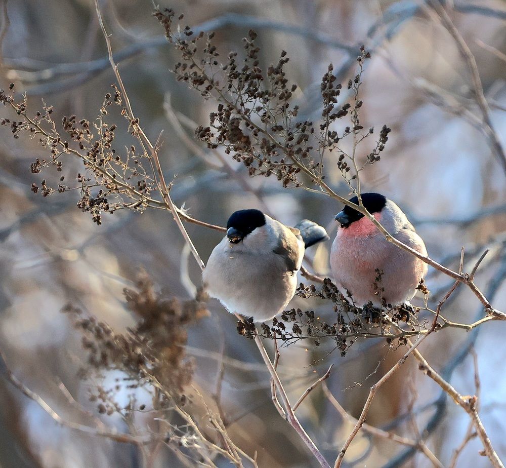 Photograph by Евгений Мельниченко