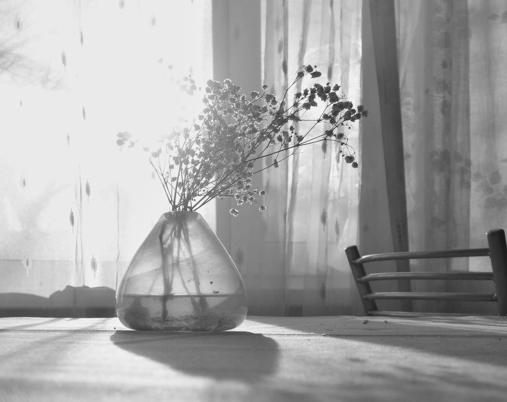 Photograph by Елена Жукова