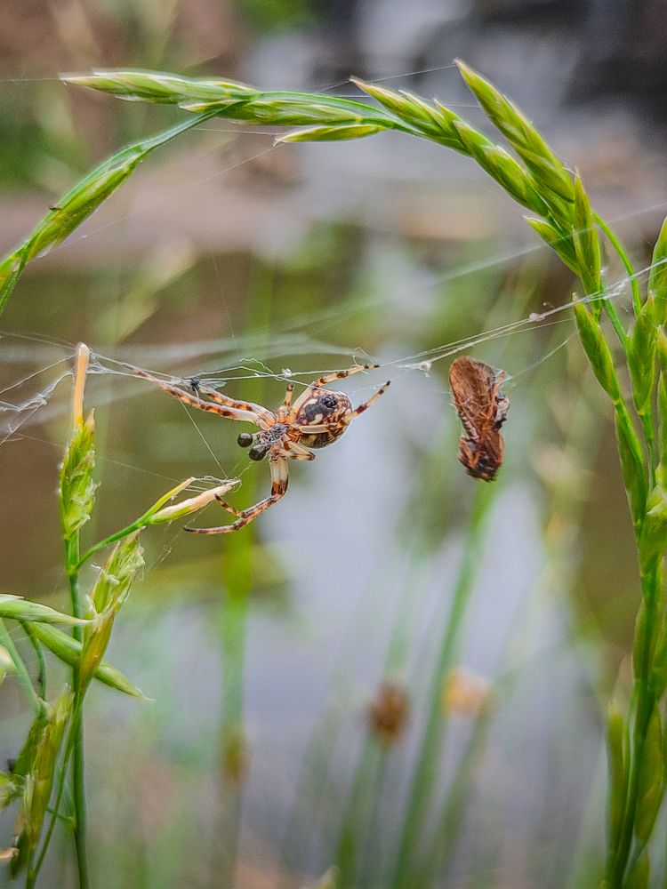 Фотография автора Сергей Котов