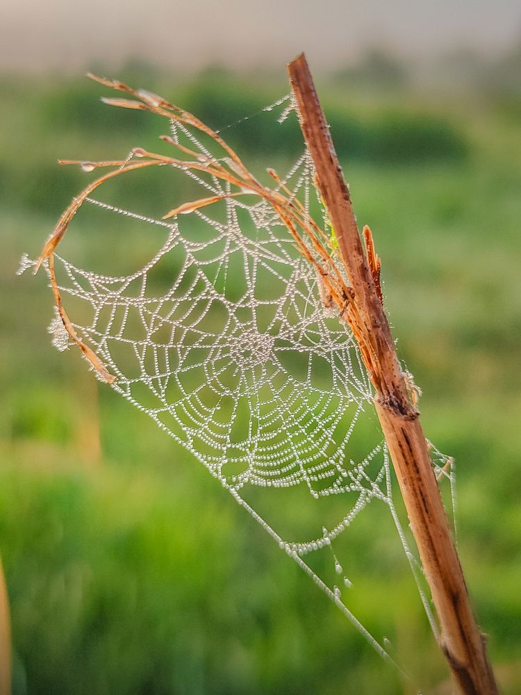 Фотография автора Сергей Котов