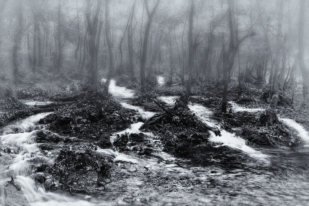 Photograph by Jasmin Suljanovic