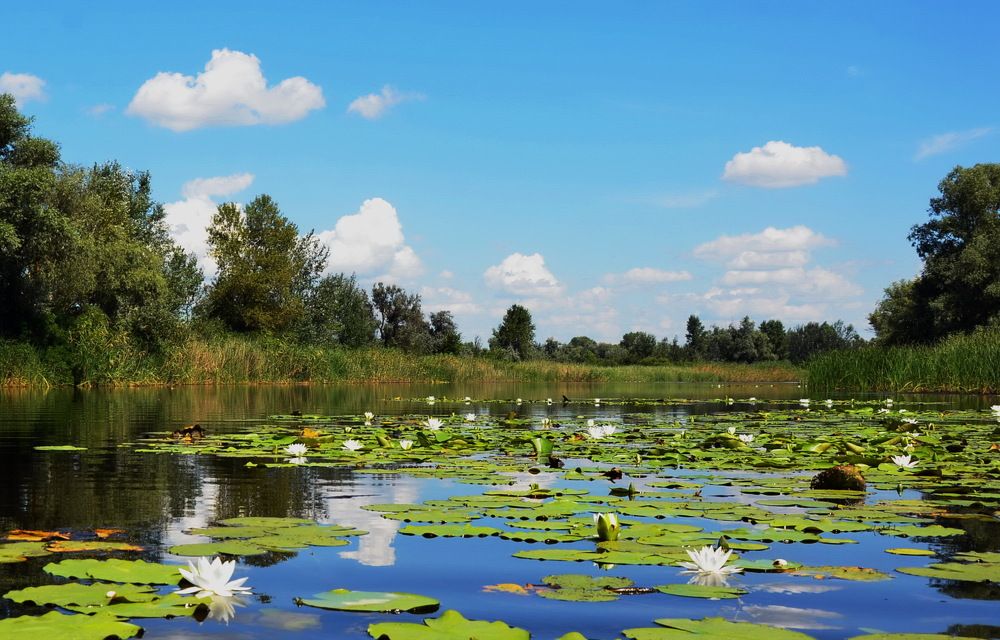 Фотография автора ВЛАДИМИР Тертышник
