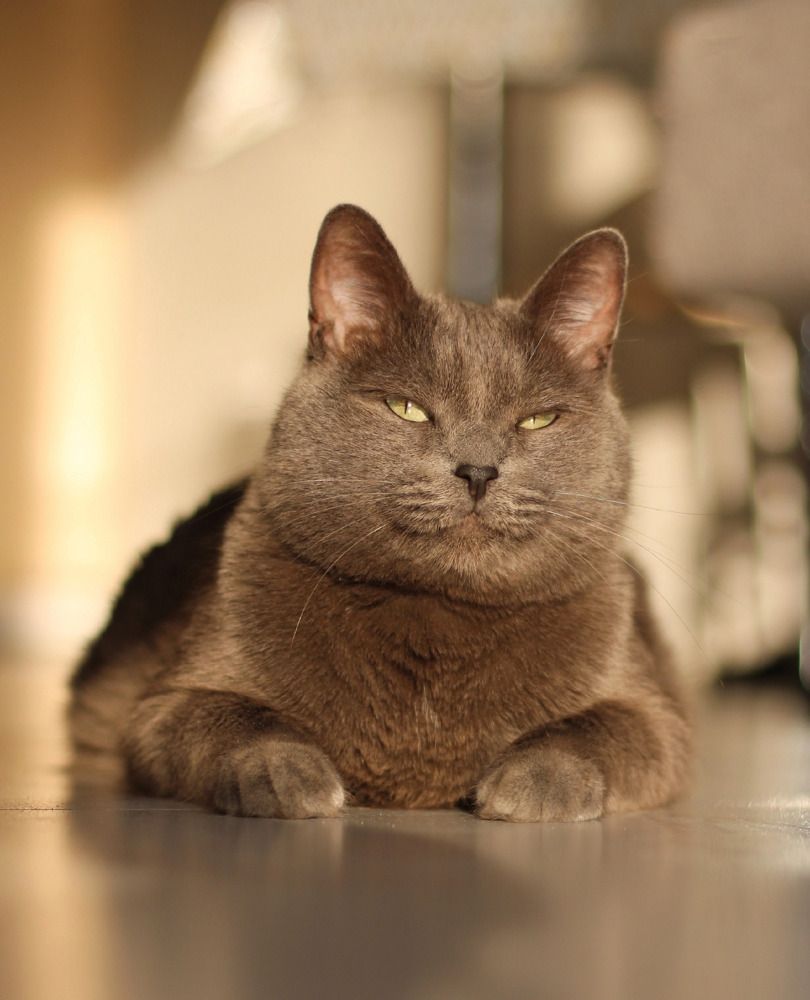 Photograph by Мария Мельникова