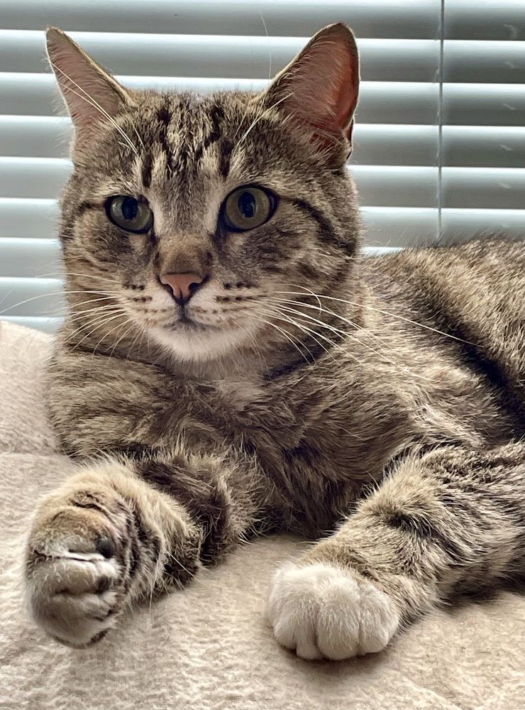 Фотография автора Рамзия Хисамутдинова