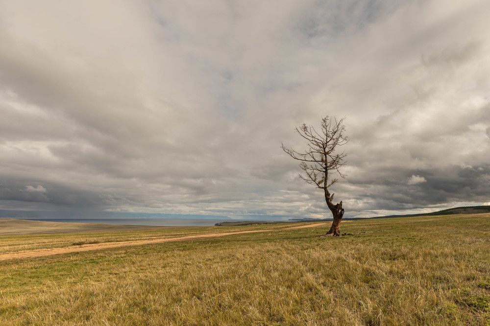Photograph by Илья Поляк