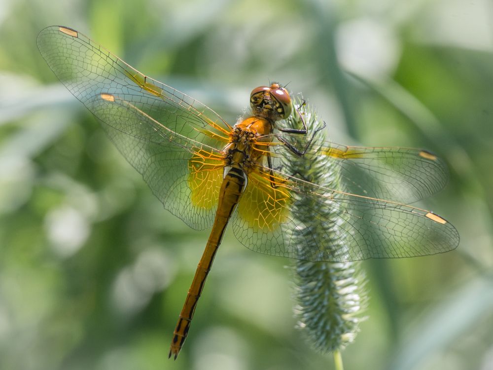 Photograph by Сергей Алексеев