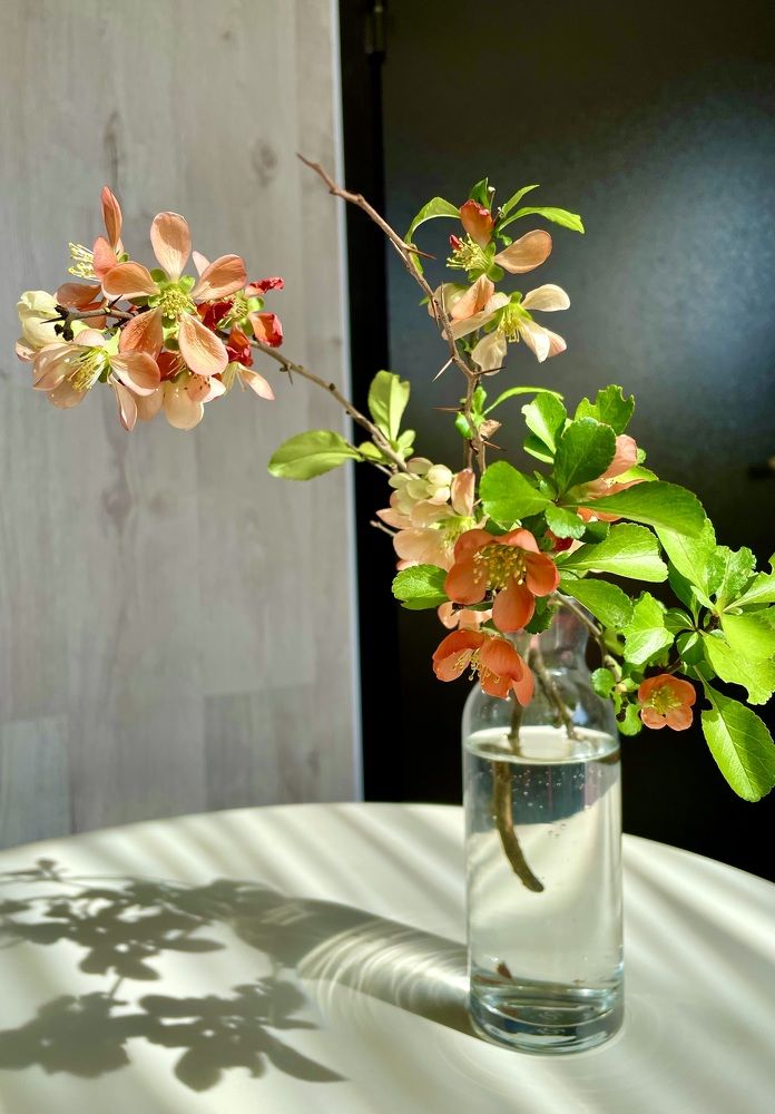 Фотография автора Рамзия Хисамутдинова