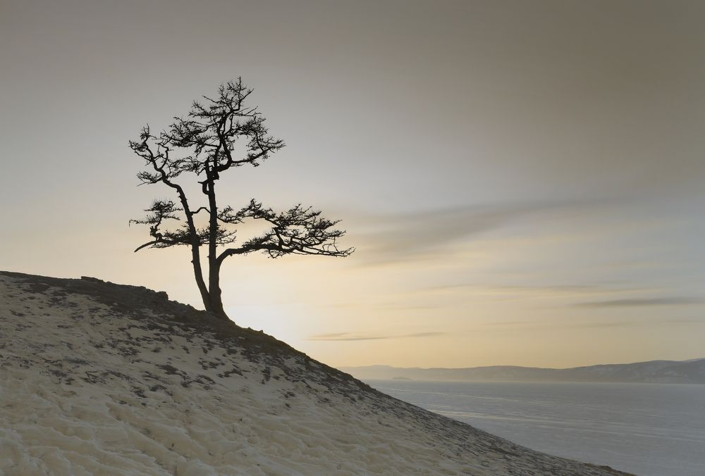 Photograph by Наталья Туева