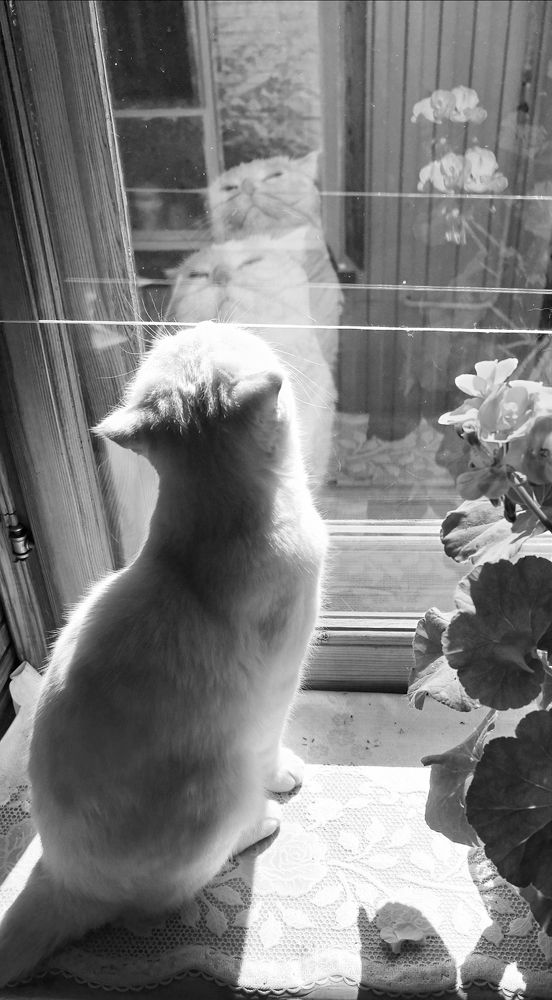Photograph by Татьяна