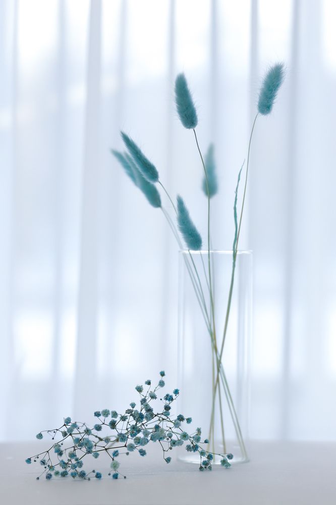 Фотография автора Светлана Цудзевич