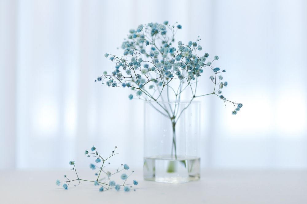 Фотография автора Светлана Цудзевич