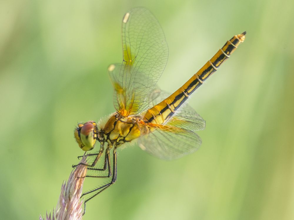 Photograph by Сергей Алексеев