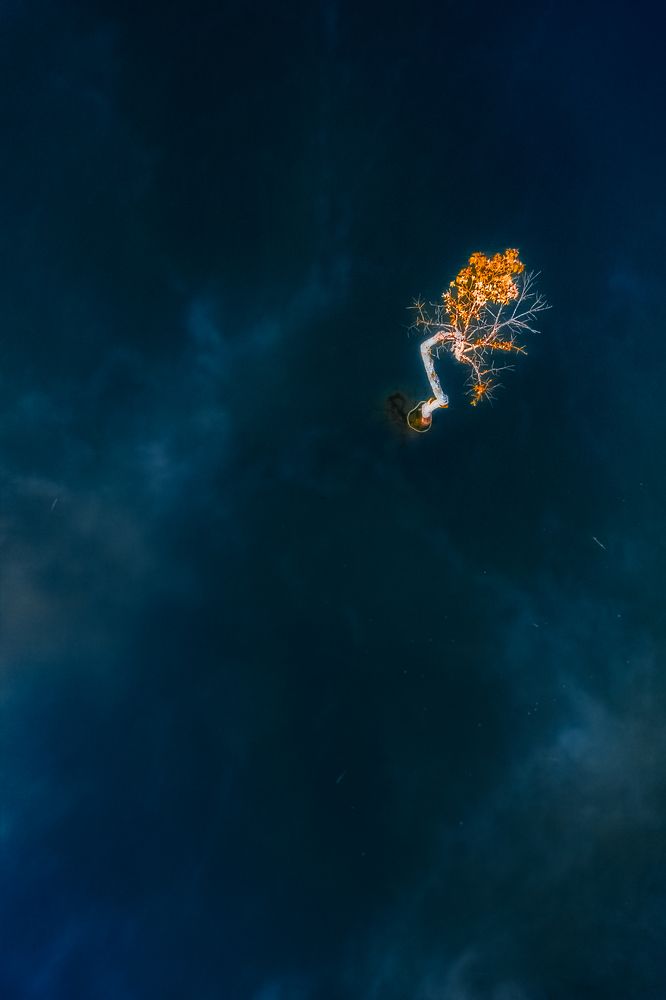 Photograph by Lê Huy Anh