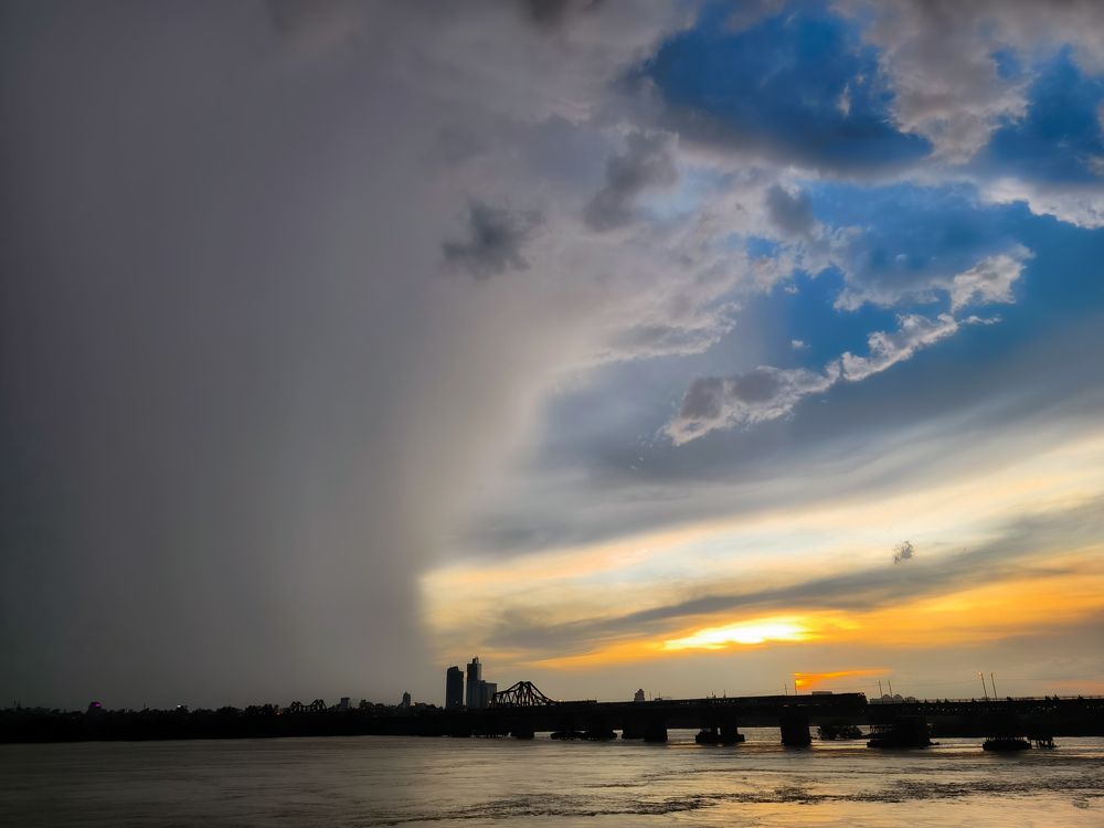 Photograph by Kevin Nguyen