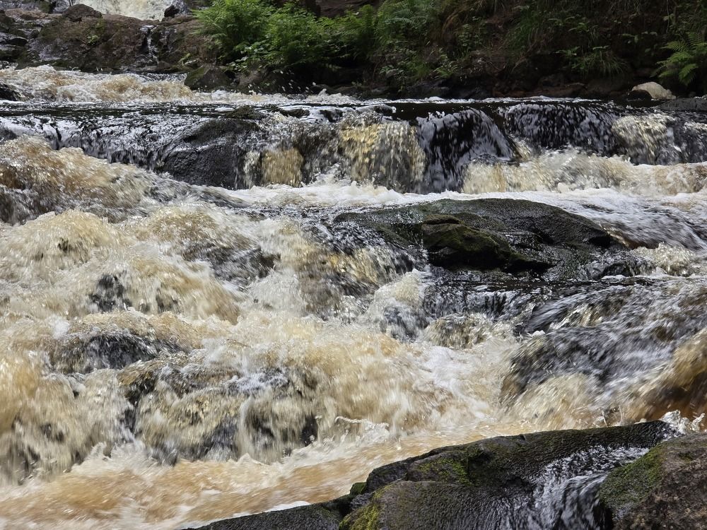 Photograph by Татьяна Дмитриева