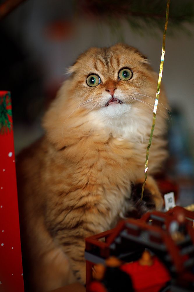 Photograph by Марина Фрейман