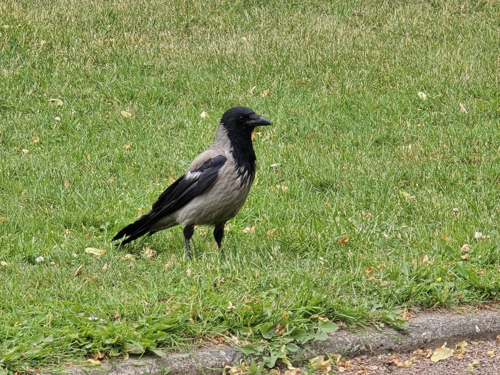 Photograph by Татьяна Дмитриева