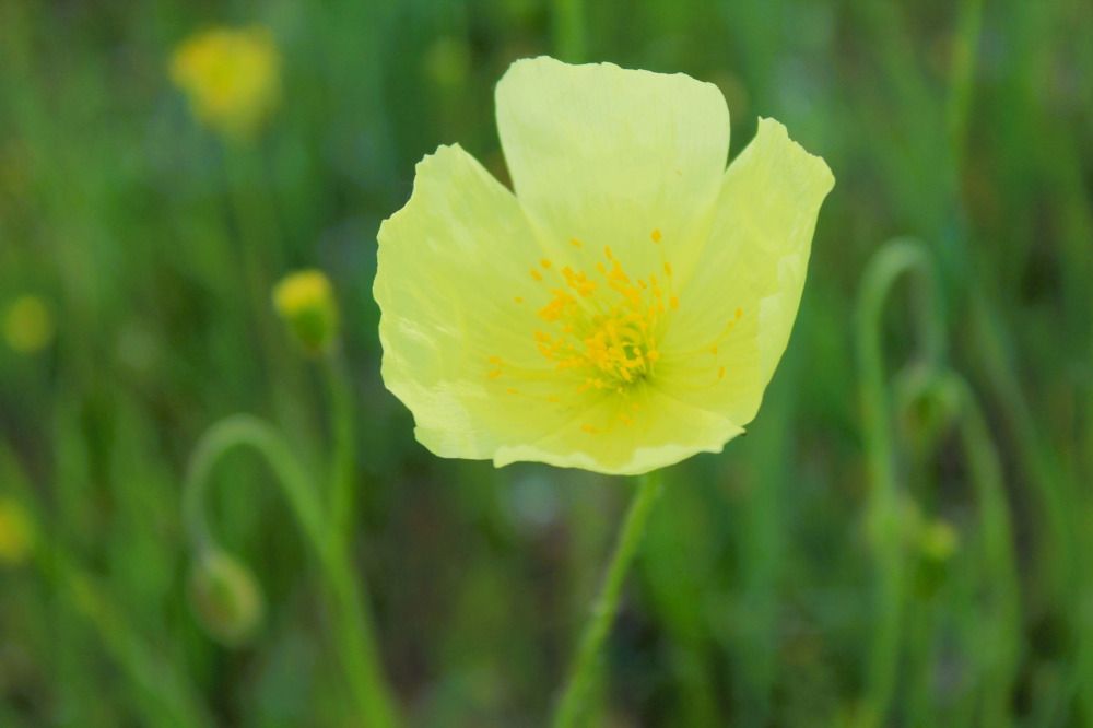 Photograph by Оксана Шарагина