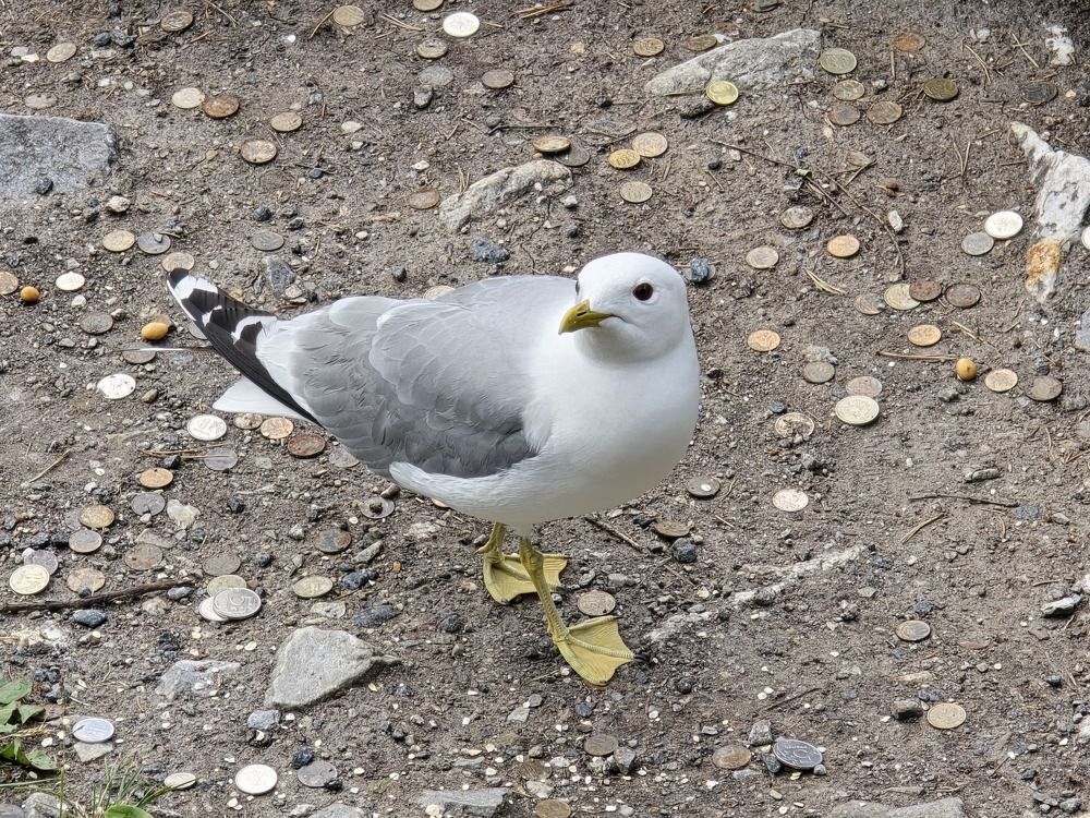 Photograph by Татьяна Дмитриева