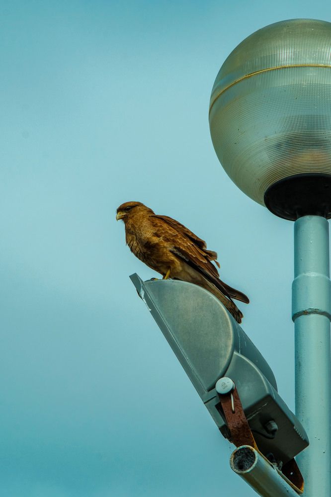 Photograph by Сергей Аверченко