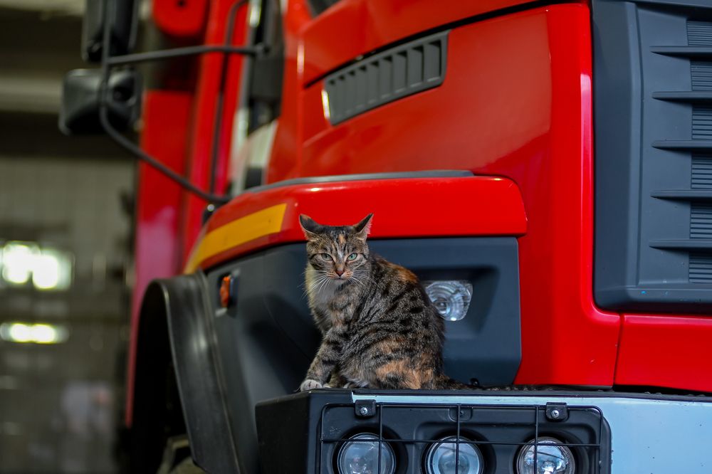 Пожарная Маруся