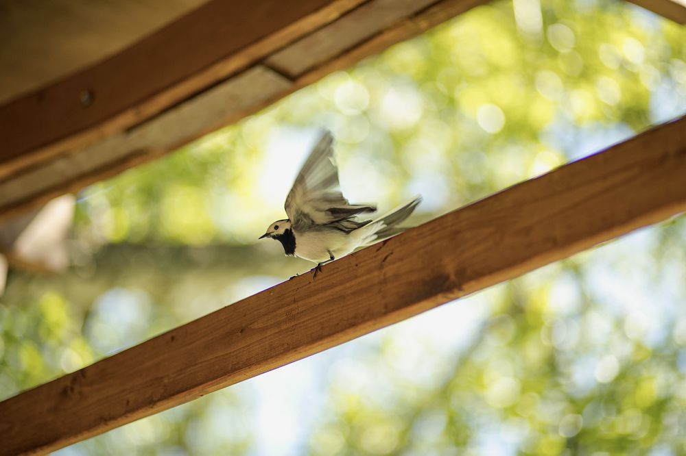 Photograph by Борис Абдуллин