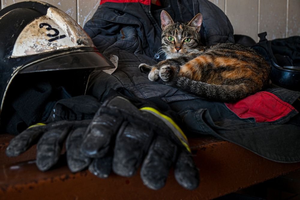 На районе всё спокойно!