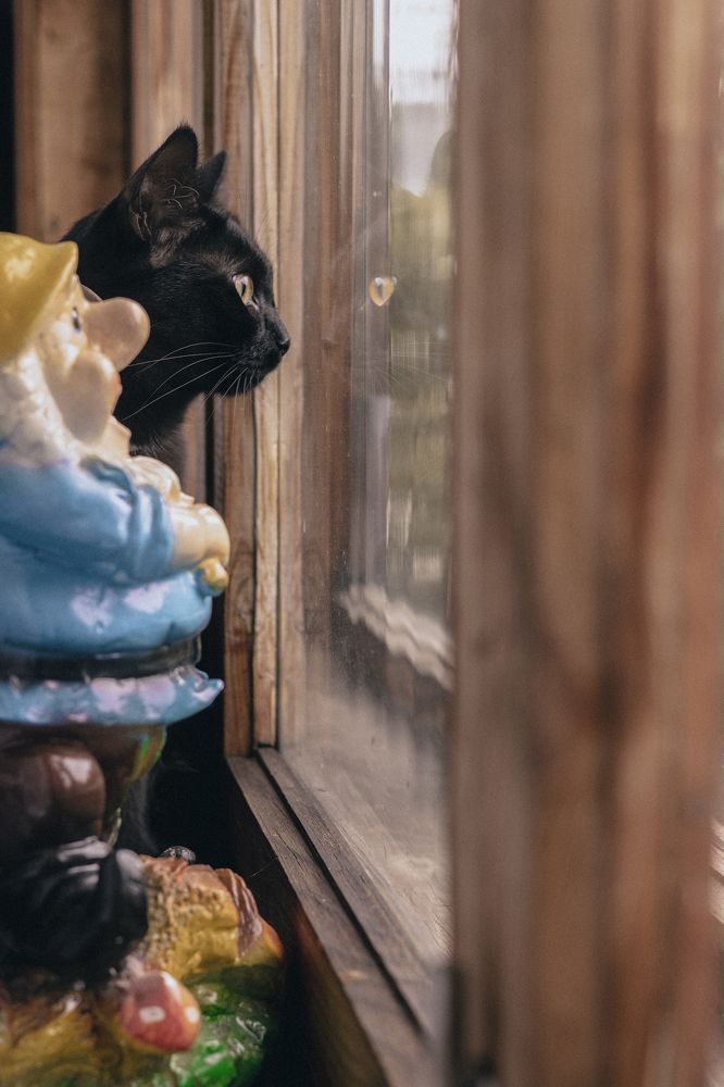 Photograph by Анисимова Ольга Леонидовна