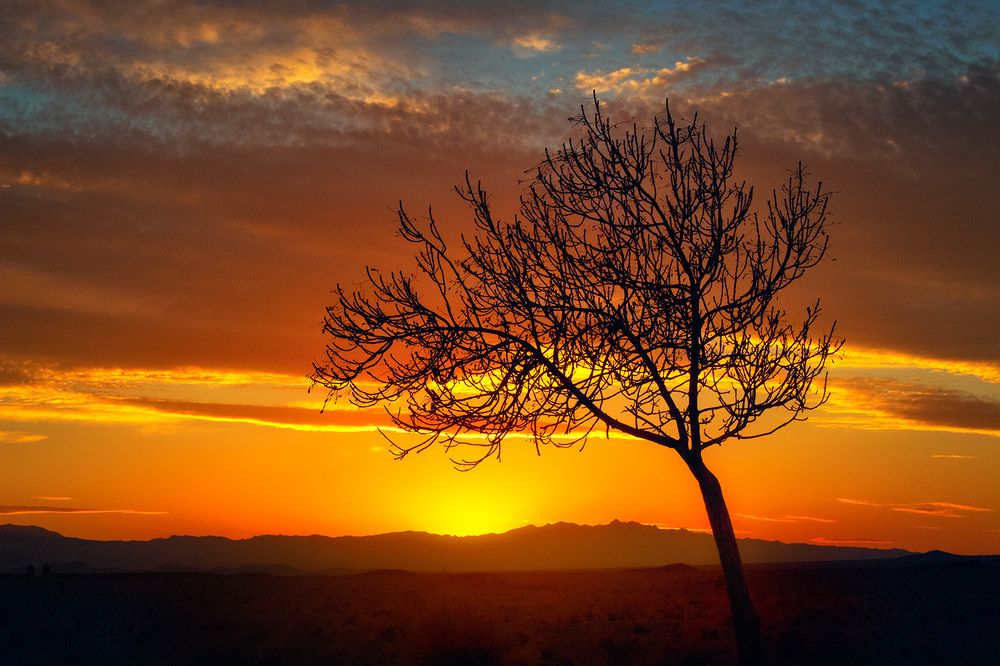 Photograph by Farzad Ajori