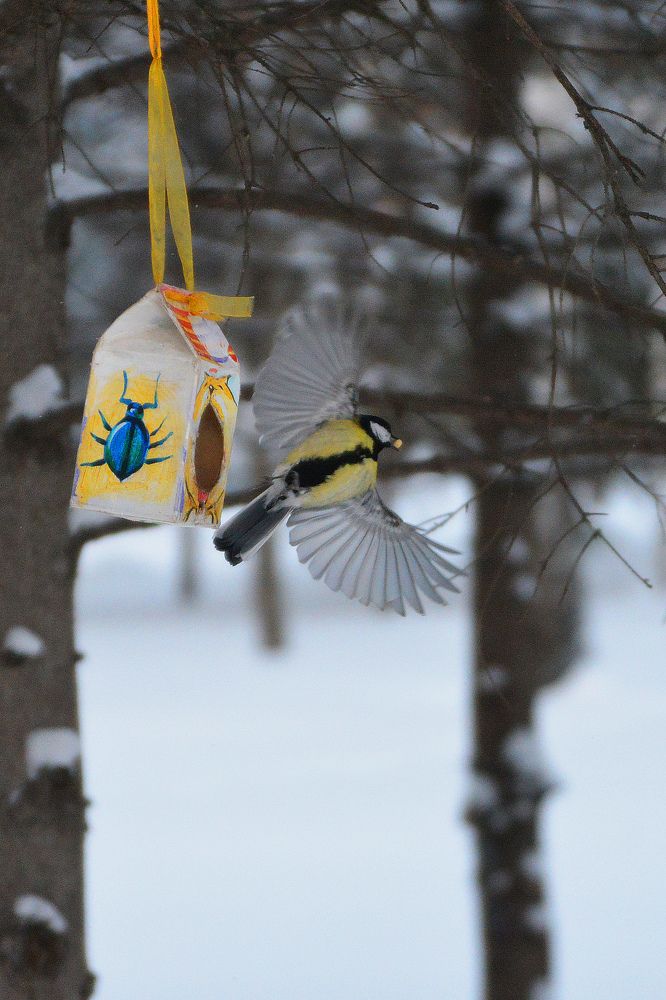 Photograph by Фарит Зиатдинов