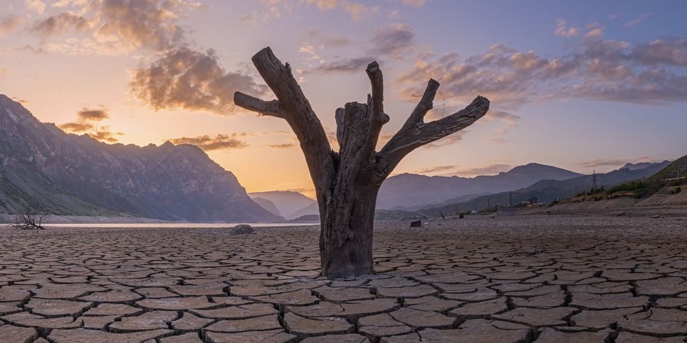 Photograph by Алексей Королёв