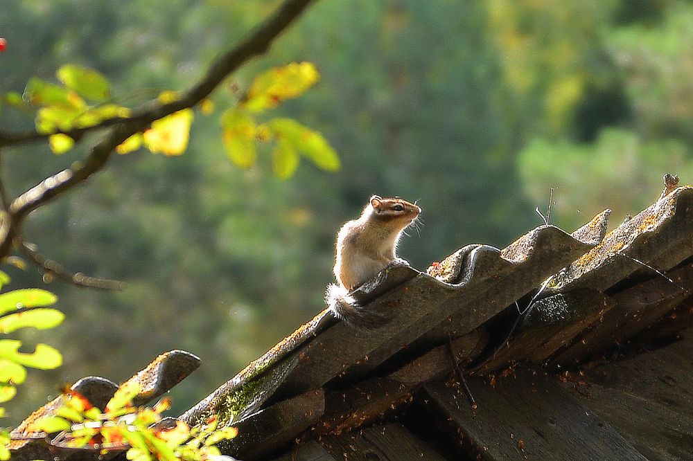 Photograph by Фарит Зиатдинов