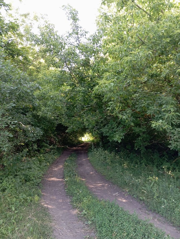 Photograph by Елена Коробченко