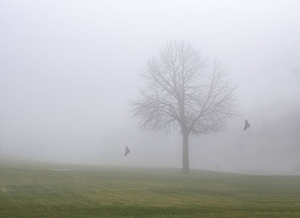 Фотография автора Дмитрий Кетов