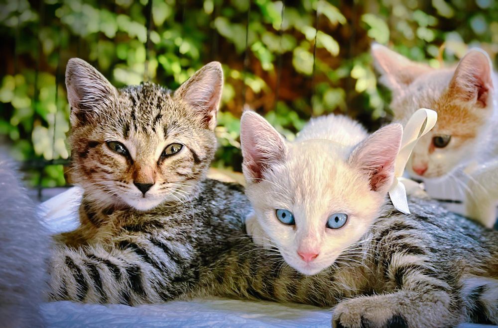 Photograph by Siarhei Saladukhin