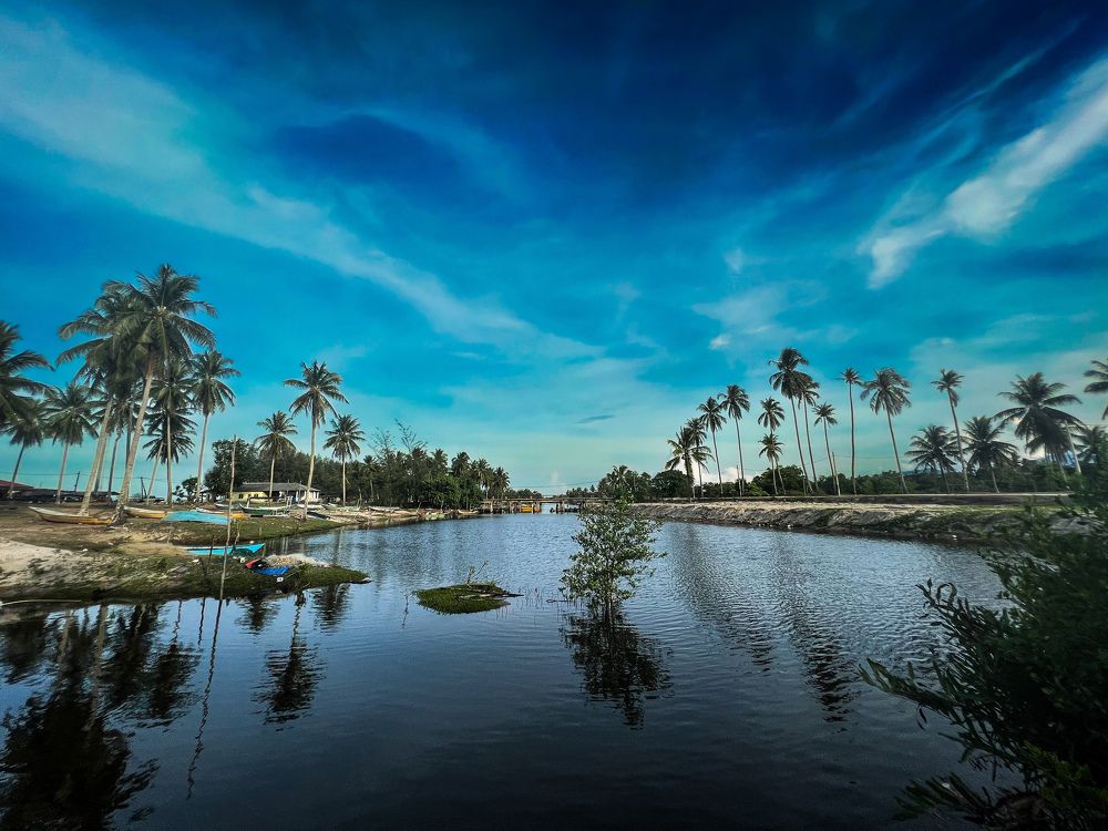 Фотография автора Harun Ali