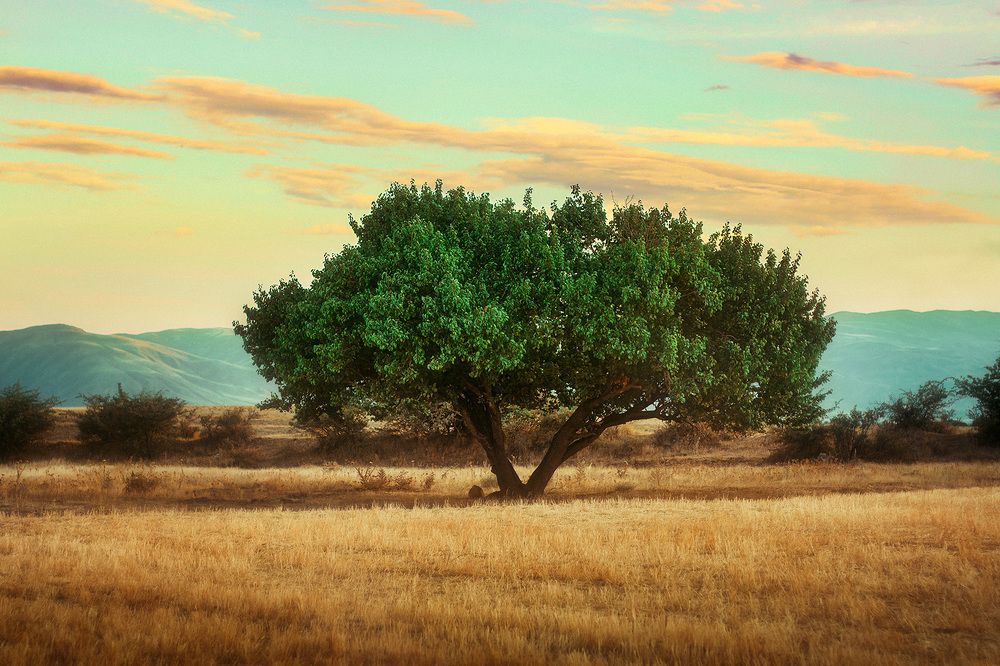 Photograph by Farzad Ajori