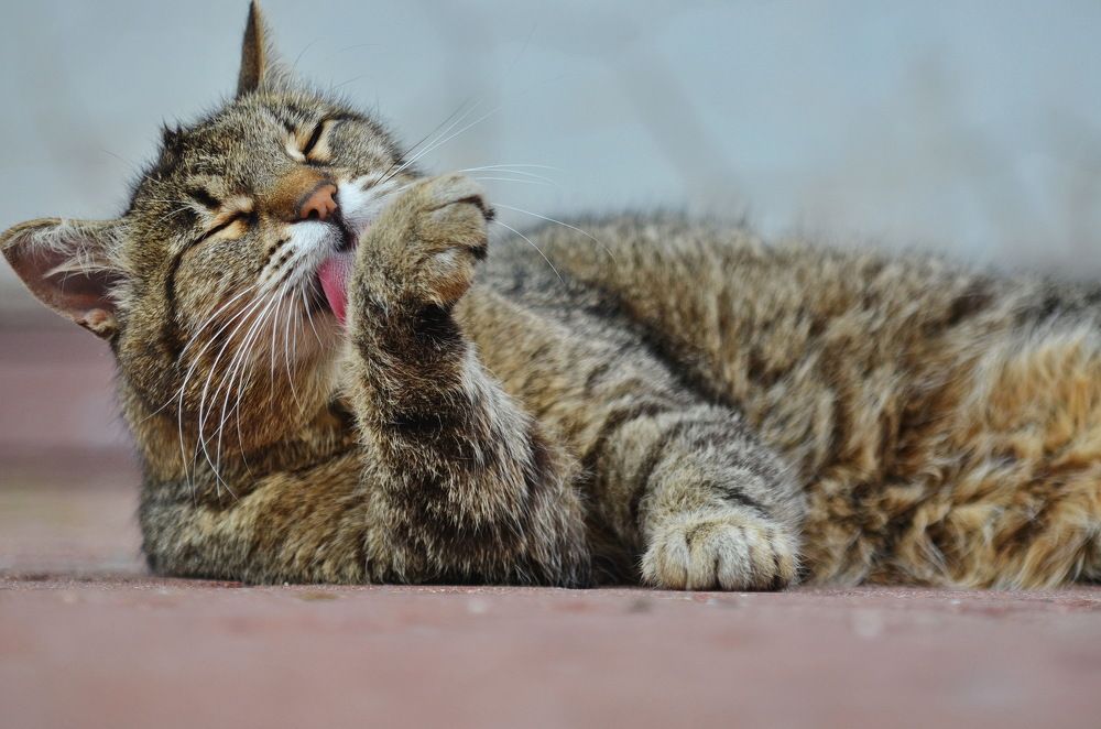 Photograph by Константин Мишнаевский